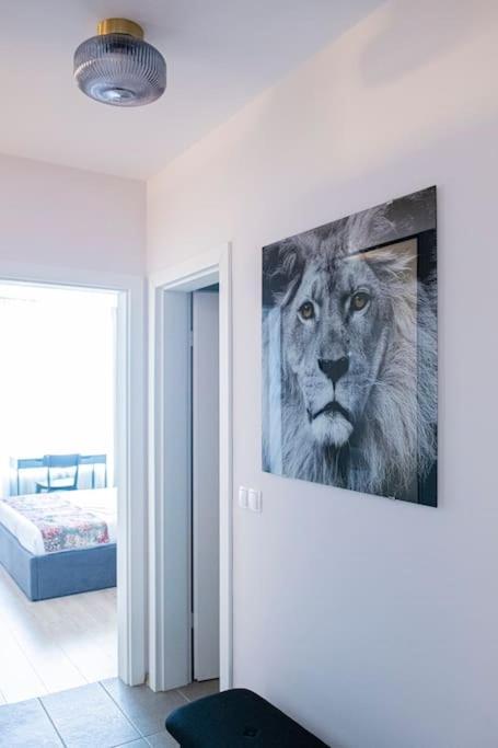 סופיה Tokiyo: A Lovely City Center 2 Bedrooms Apartment With Private Parking מראה חיצוני תמונה